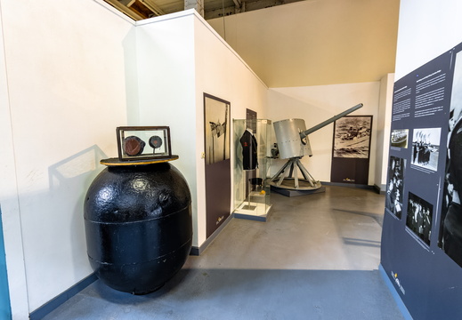 Exhibitions / Museums